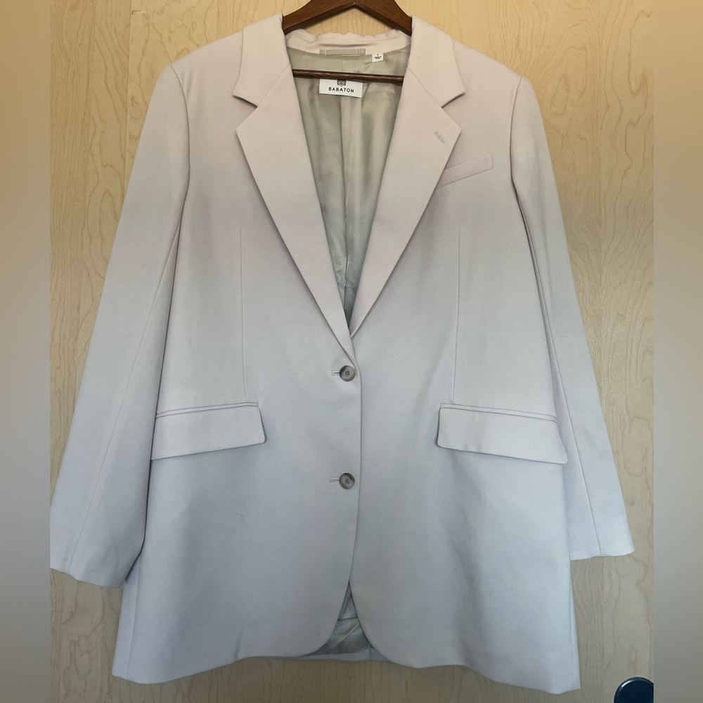Aritzia Babaton Agency Blazer - Matte Pearl
